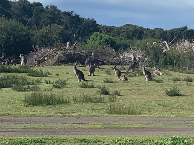 Hotel Broadbeach Inverloch Exterior foto